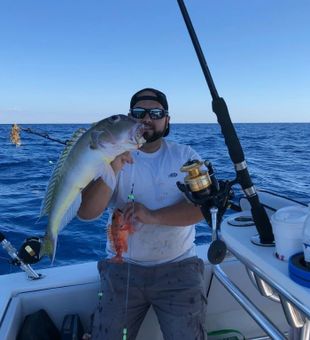 Whitefish Caught in Fort Lauderdale, FL 